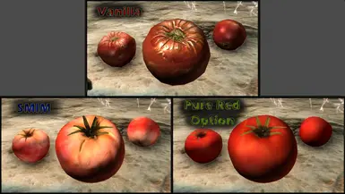 Tomato Comparison