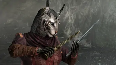 Examining the daggers