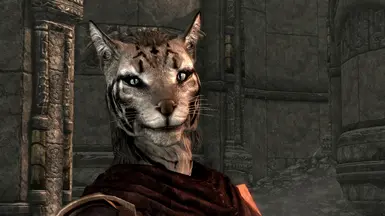 Ma'kara (CoverKhajiit texture)