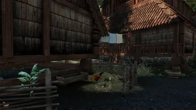 Laundry, JK's Skyrim and Birds of Skyrim